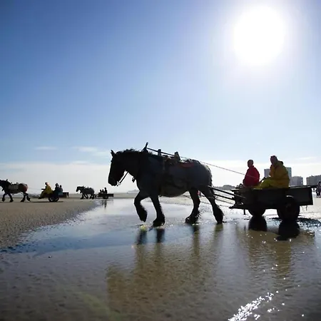 In With Stunning Sea Views Daire *