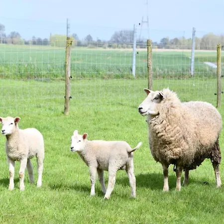 アパート In With Stunning Sea Views *