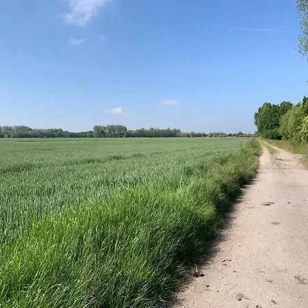 In With Stunning Sea Views Daire