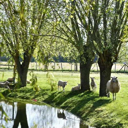 In With Stunning Sea Views Nieuwpoort