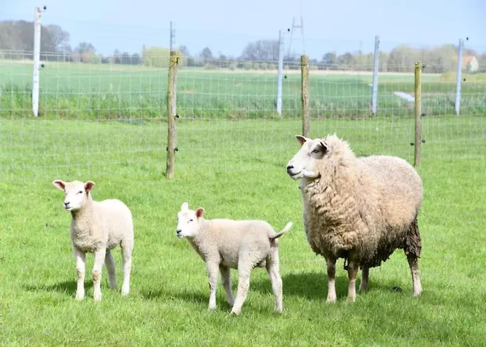 Apartment In With Stunning Sea Views *