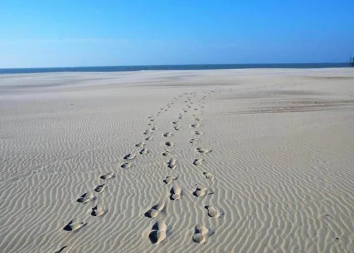 In With Stunning Sea Views