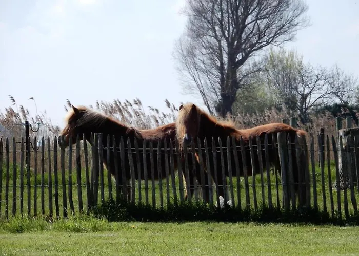 In With Stunning Sea Views Apartment *